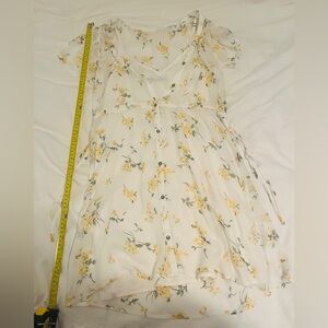 Abercrombie Sheer Floral Button-Down Dress